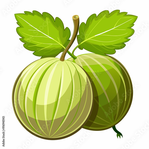 Two Green Gooseberries with Leaves