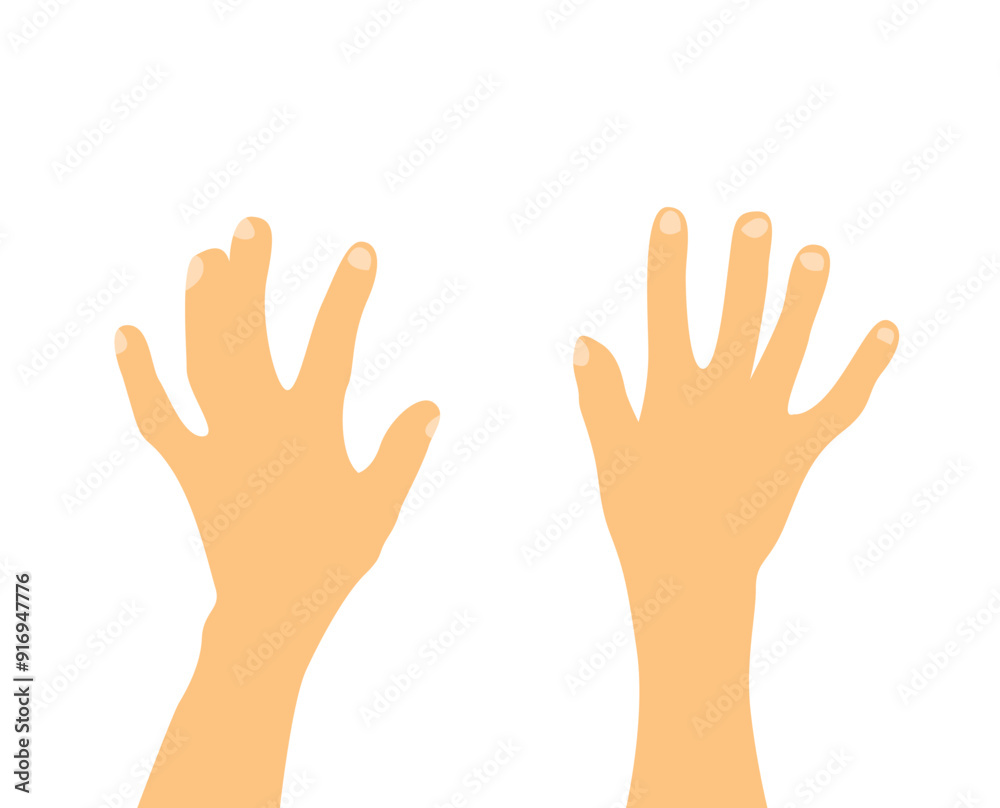 Extended Human Hands Isolated on White. Left and right hand of a man vector Extended Human Hands Isolated on White. Left and right hand of a man vector
