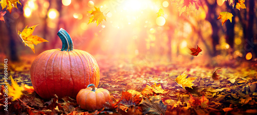 Pumpkins In Autumn Forest At Sunset - Thanksgiving Harvest Background