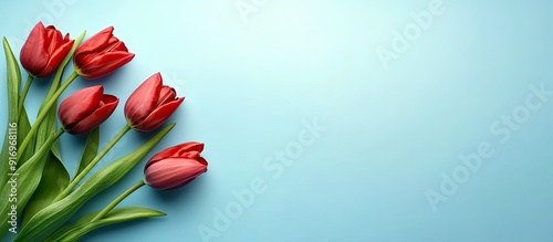 A cluster of red tulips aga...