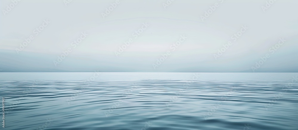 Obraz premium A serene aquatic view with a white backdrop ideal for copy space image