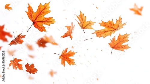 Flying maple leaves on a white background : Generative AI