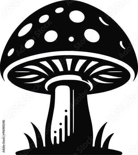 Set of different mushroom silhouettes, graphic drawing with lines, black and white cut truffle, porcini mushroom, shiitake, and chanterelles isolated. Vector illustration silhouette