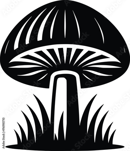 Set of different mushroom silhouettes, graphic drawing with lines, black and white cut truffle, porcini mushroom, shiitake, and chanterelles isolated. Vector illustration silhouette