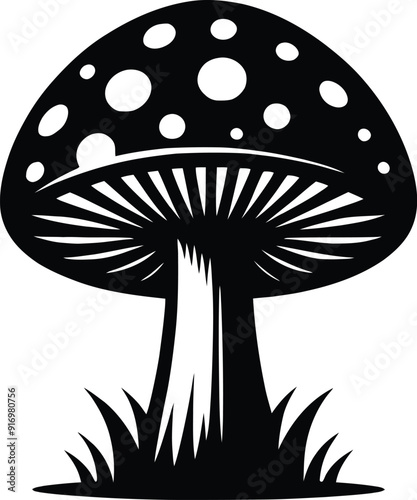 Set of different mushroom silhouettes, graphic drawing with lines, black and white cut truffle, porcini mushroom, shiitake, and chanterelles isolated. Vector illustration silhouette