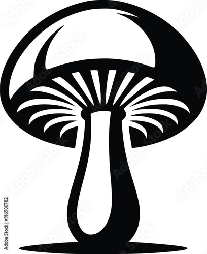 Set of different mushroom silhouettes, graphic drawing with lines, black and white cut truffle, porcini mushroom, shiitake, and chanterelles isolated. Vector illustration silhouette