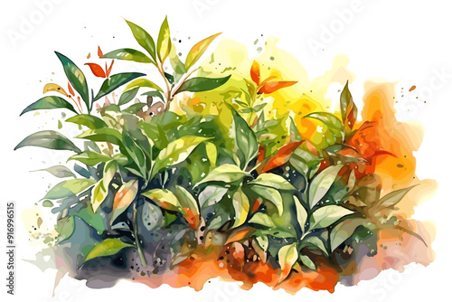 Abstract watercolor Beautiful village illustration nature landscape painting
