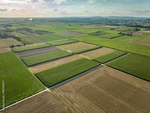 geometric aerial shot of pa...