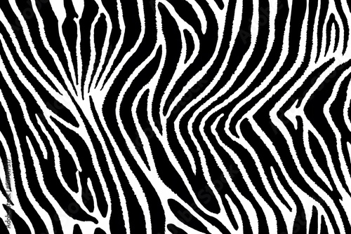 Abstract black and white zebra stripes pattern.