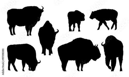 Set of European bison silhouettes. The wisent or the zubr. Realistic vector wild animals of Europe. Bialowieza Forest.