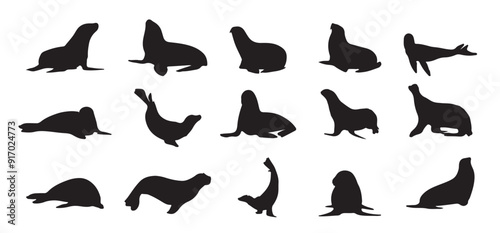The set of Seal silhouette collection