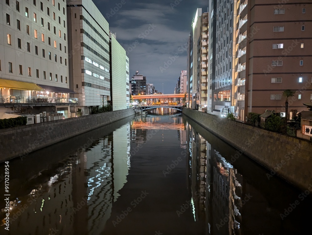 Fototapeta premium 東京の夜