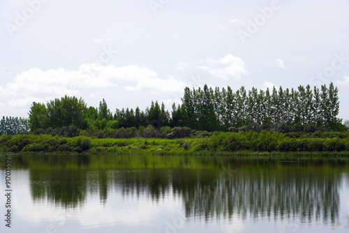 Small lake with a meadow and line of trees in the background