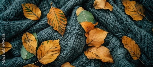 Copy space image of yellow green leaves drying on a woolen surface in a flat lay composition
