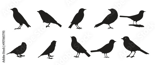  Set of black bird silhouettes Vector elements for design