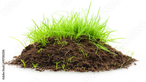 Fresh Growth: A mound of rich, fertile soil bursts with vibrant green grass, symbolizing new beginnings, growth, and the potential for life. 