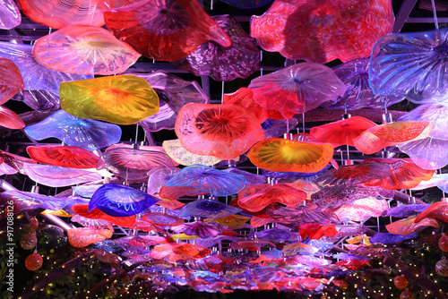 a Christmas Tree Lighting lights at hk