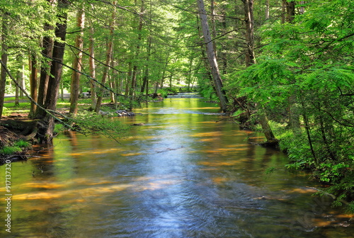 Licking Creek Karl B. Guss Picnic Area