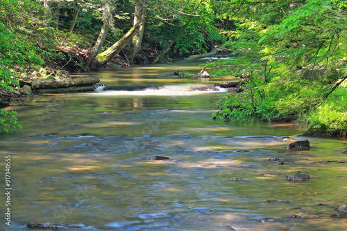 Licking Creek Run On A Summer Morning