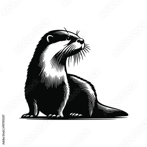 Otter silhouette vector mamal wild  animal black  and white sketch.