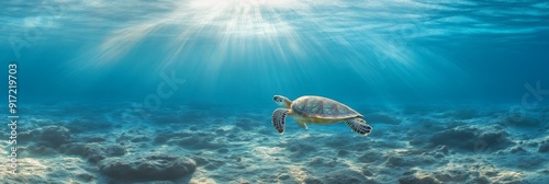 Underwater Serenity: A Sea Turtle Gliding Gracefully Near the Ocean Floor, Sunlight Streaming Through the Clear Waters Creating a Tranquil Aquatic Scene photo