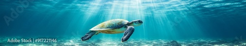 Underwater Serenity: A Sea Turtle Gliding Gracefully Near the Ocean Floor, Sunlight Streaming Through the Clear Waters Creating a Tranquil Aquatic Scene photo