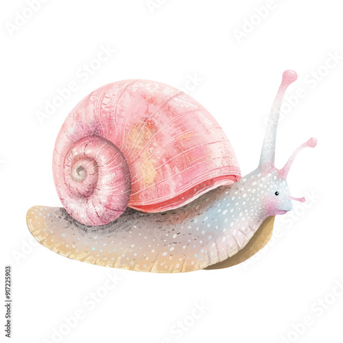 watercolor of snail white background (4)
