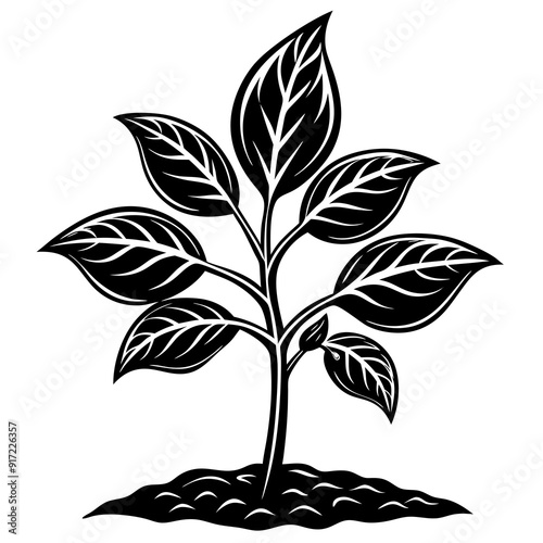 Young plant black art vector illustration