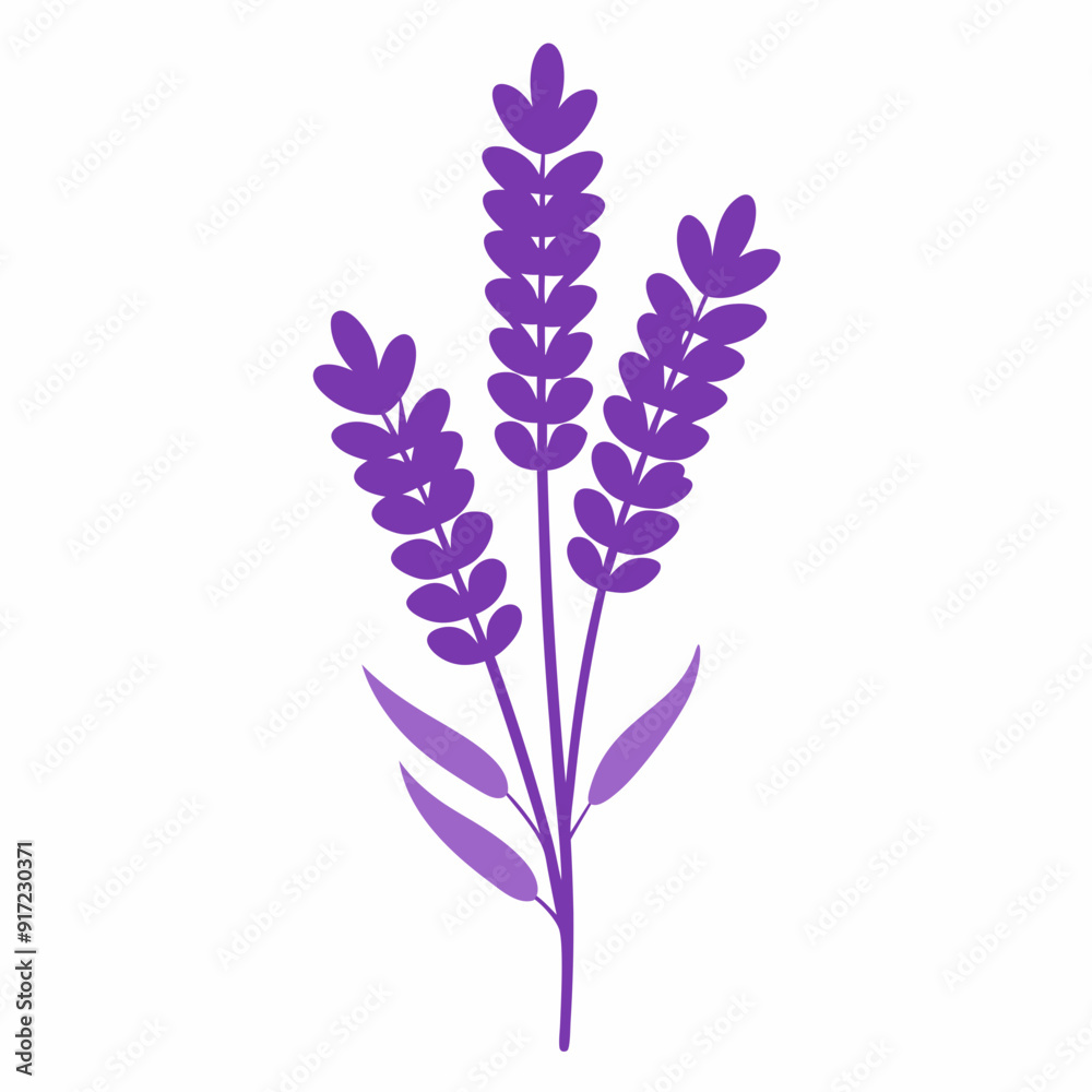 Obraz premium Lavender Black silhouette