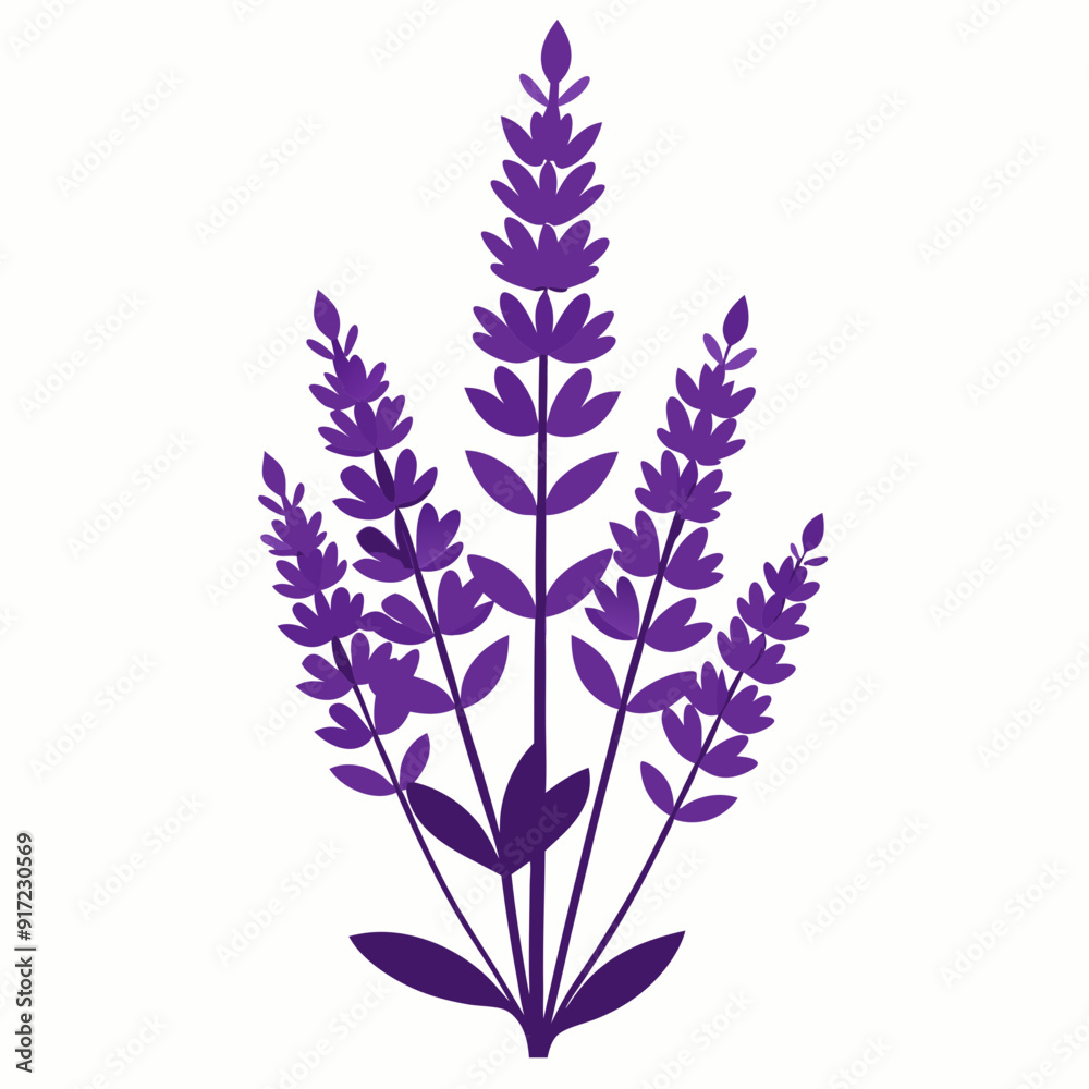 Fototapeta premium Lavender Black silhouette