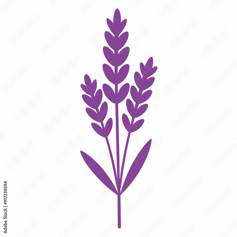 Lavender Black silhouette Lavender Black silhouette
