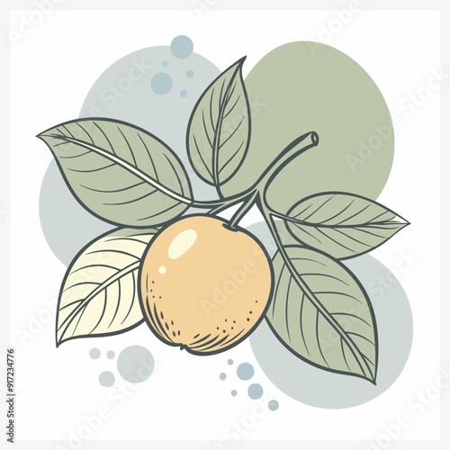 Vibrant Camu-Camu Vector Illustration