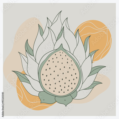 
Vibrant Dragonfruit Vector Illustration