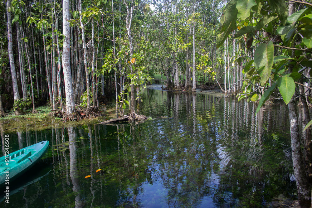 The Watershed Forest in Ban Nam Rat, Surat Thani, Thailand, is a tropical forest. The Watershed Forest in Ban Nam Rat, Surat Thani, Thailand, is a tropical forest.