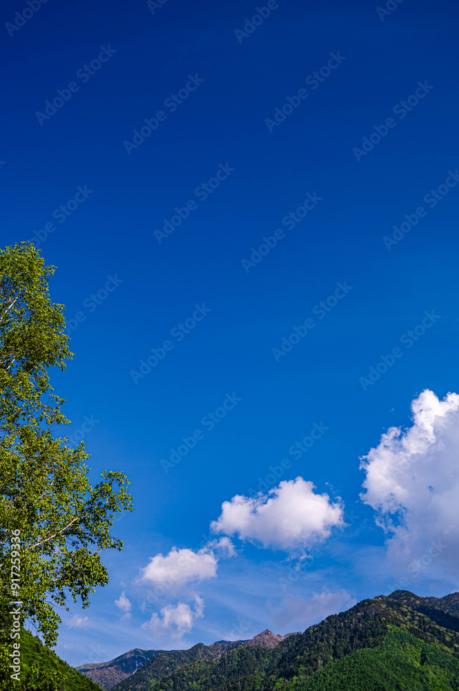 さわやかな夏の木曽駒高原 さわやかな夏の木曽駒高原