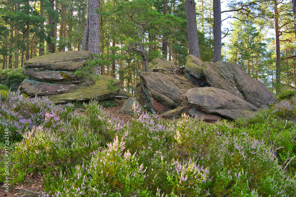 Mystischer Felsenpfad in den Vogesen oberhalb von La Vancelle Mystischer Felsenpfad in den Vogesen oberhalb von La Vancelle