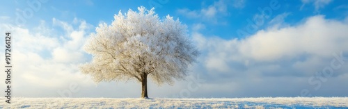 Frost-covered tree stands alone in a winter landscape under a blue sky