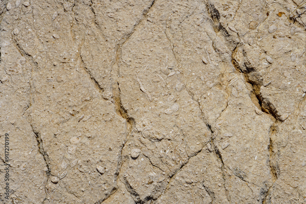 Fototapeta premium Background texture of white stone. 