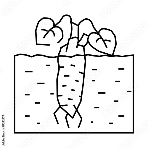 root plant wasabi line icon vector. root plant wasabi sign. isolated contour symbol black illustration