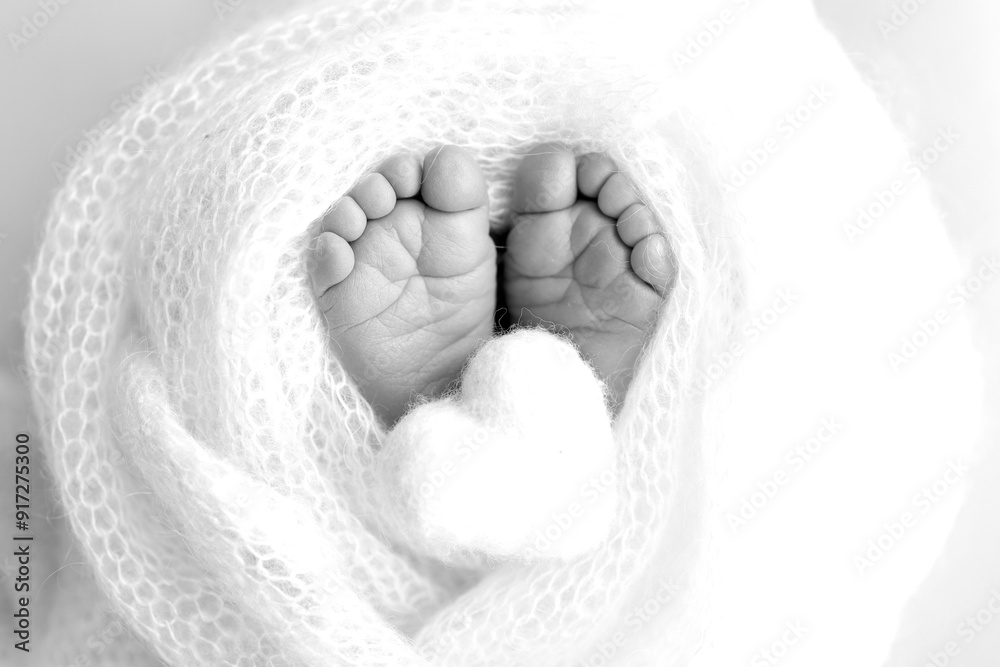 The tiny foot of a newborn baby. Soft feet of a new born in a wool blanket. Close up of toes, heels and feet of a newborn. Knitted heart in the legs of a baby Studio macro photography. Black and white The tiny foot of a newborn baby. Soft feet of a new born in a wool blanket. Close up of toes, heels and feet of a newborn. Knitted heart in the legs of a baby Studio macro photography. Black and white