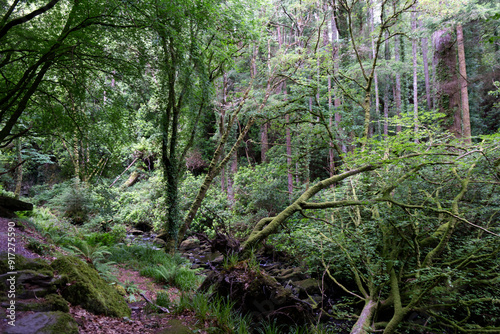 Obraz na płótnie Killarney, Ireland - By Torc Waterfall w salonie