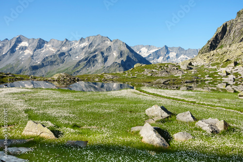 Ein Bergsee in den Tiroler Alpen mit einem Wollgrasteppich