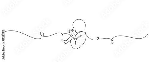 baby in womb line art style.