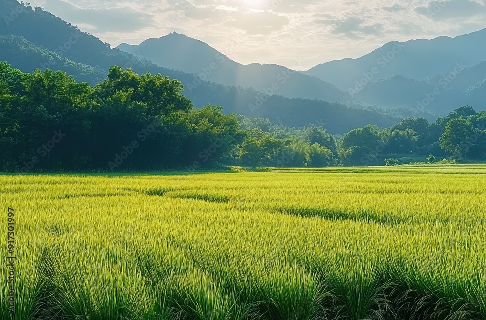 Fototapeta premium Good morning scene wallpaper background photo