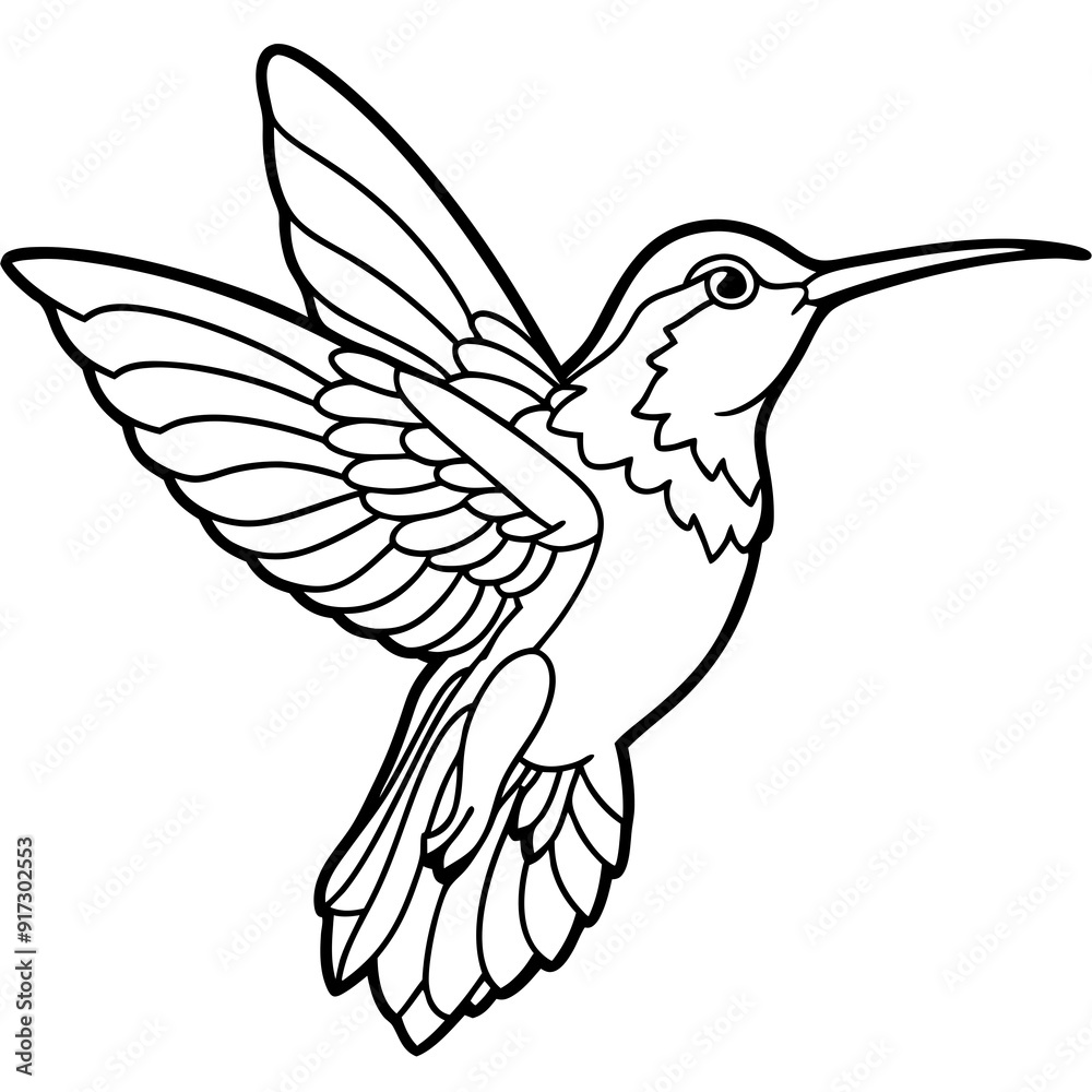 Fototapeta premium Detailed Line Art of a Hummingbird