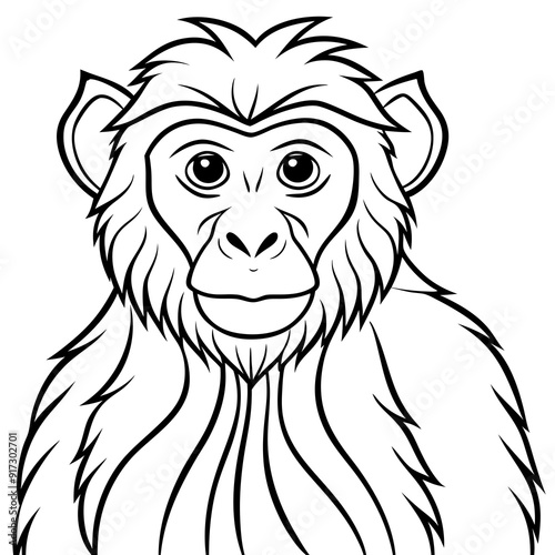 Detailed Line Art of a Macaque Monkey