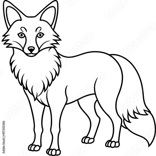 Detailed Line Art Illustration of a Fox