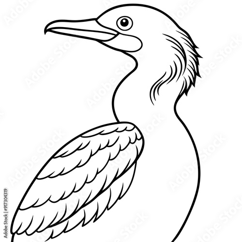 Detailed Line Art Illustration of a Cormorant Bird