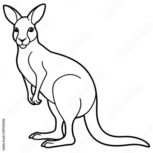 Detailed Line Art Illustration of a Kangaroo