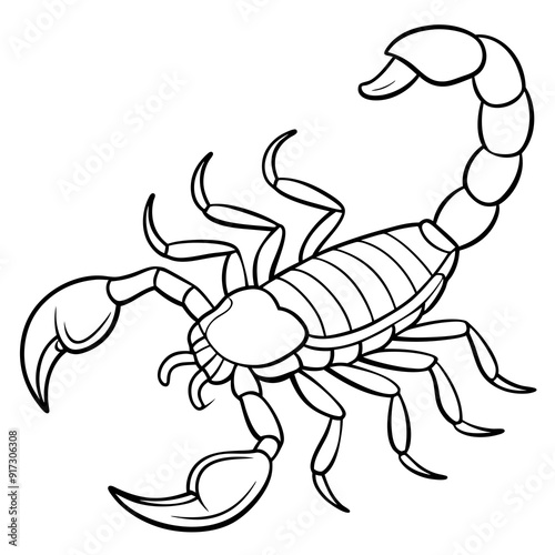 Detailed Line Art of a Scorpion